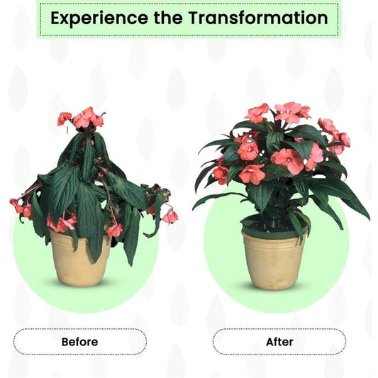 Fertilizer Sticks for Plants – Boost Growth Naturally