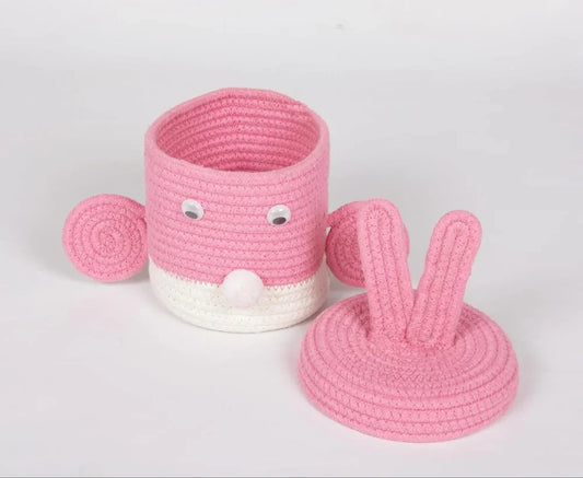 Super Cute Basket Woven With Cotton Rope