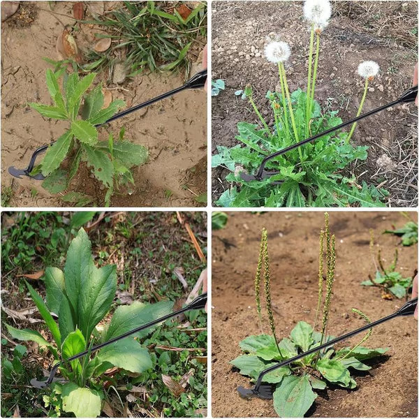 🌿Garden Weed Pulling Tool Uprooting Weeding Too