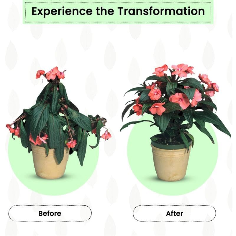 Fertilizer Sticks for Plants – Boost Growth Naturally