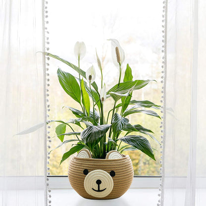 Cute Bear Round Basket - Cotton Rope Baskets in Living Room, Brown