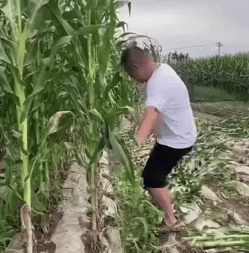 Multifunctional Portable Grass Sickle Cutter Head