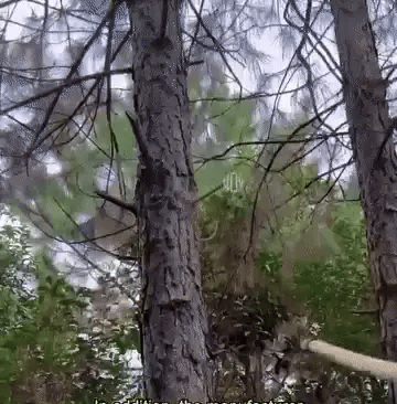 Multifunctional Portable Grass Sickle Cutter Head