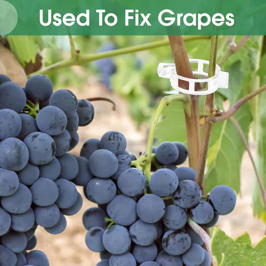 Plants Clips, Plastic Trellis Clips